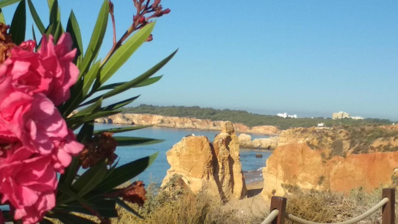 Albur Village B - Dandelion Alvor Zewnętrze zdjęcie